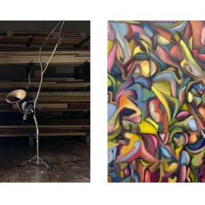 Wofford College  Webster and Bunche